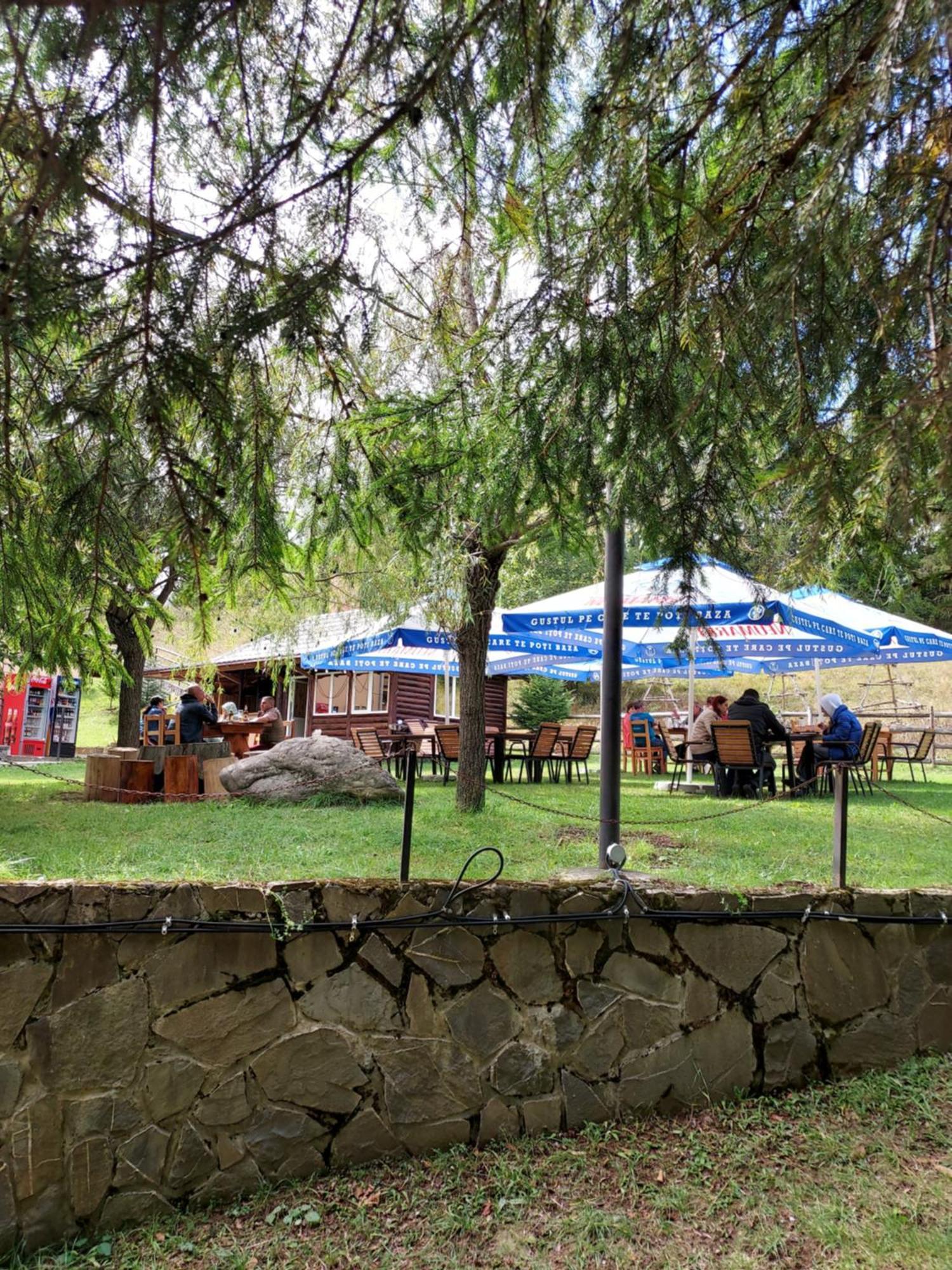 Pensiunea La Taverna Trăisteni 외부 사진