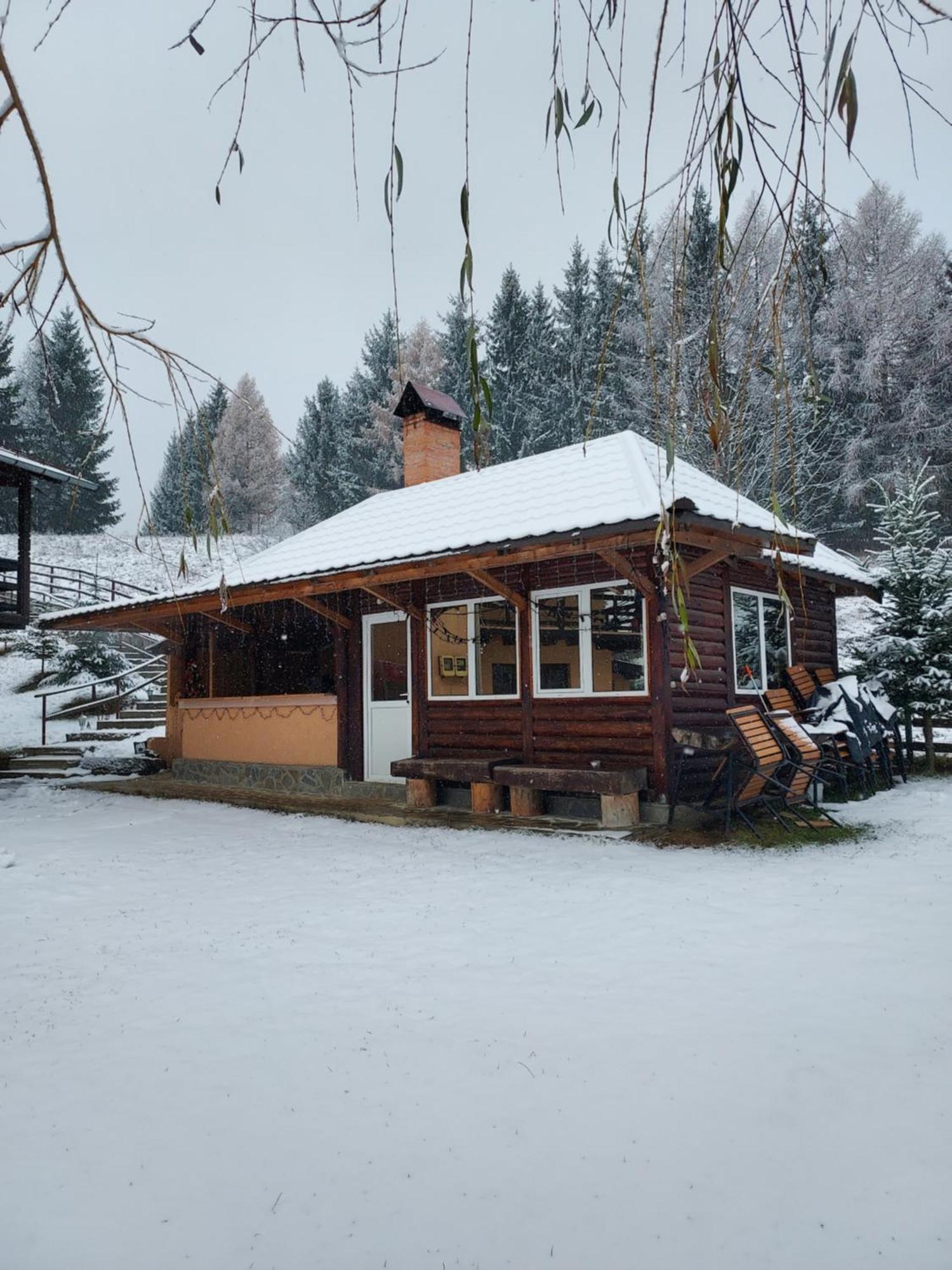 Pensiunea La Taverna Trăisteni 외부 사진